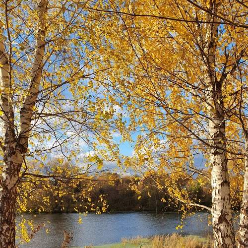 Photo #8072259