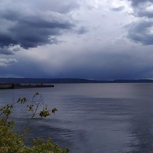 Photo #8073387