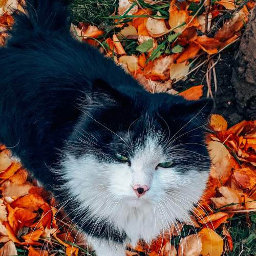 Photo #8073499