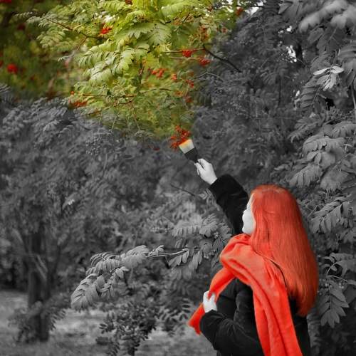 Photo #8073616