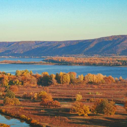 Photo #8073911