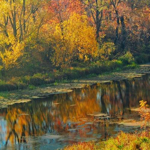 Photo #8073922