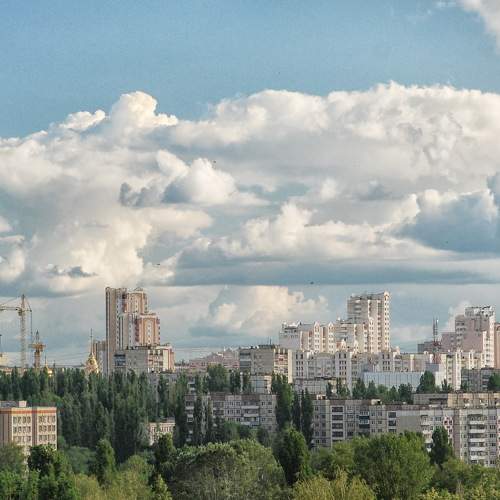 Photo #8074042