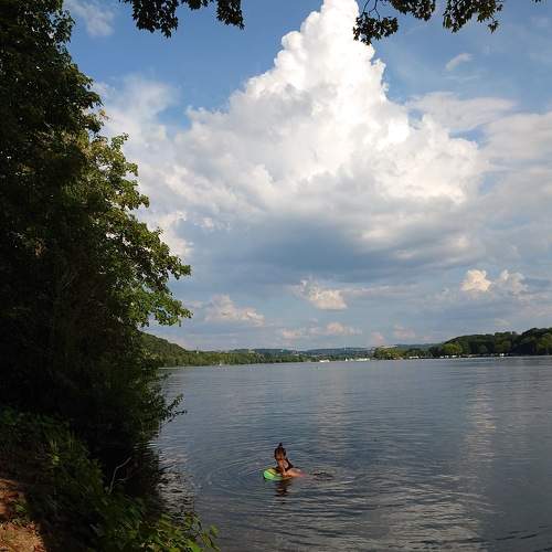 Photo #8074047
