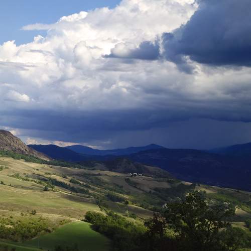 Photo #8074812