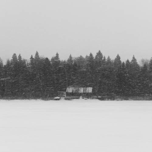 Photo #8075021