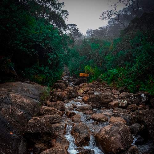 Photo #8076358