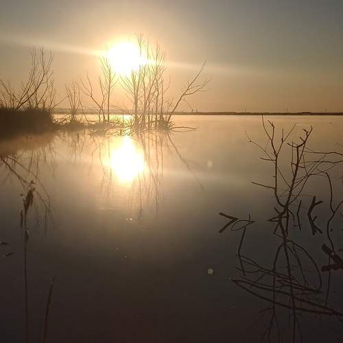 Утренняя рыбалка)