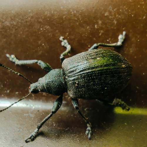 Photo #8076533