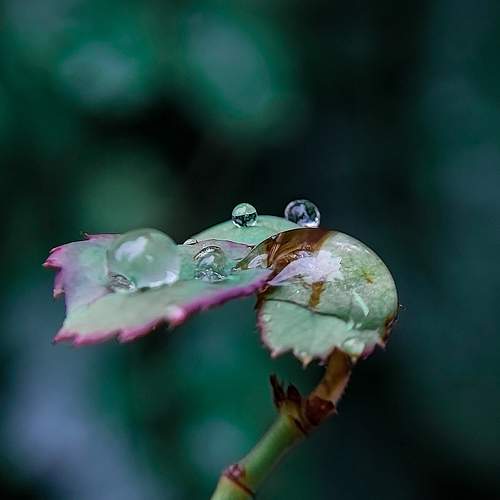Photo #8076555