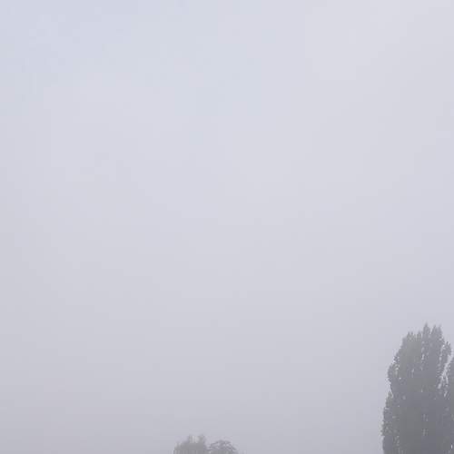Photo #8076583