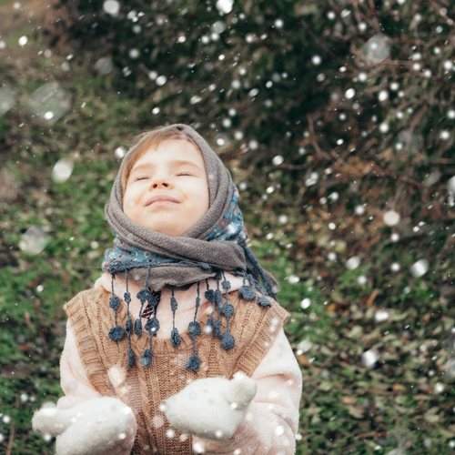 Photo #8076790