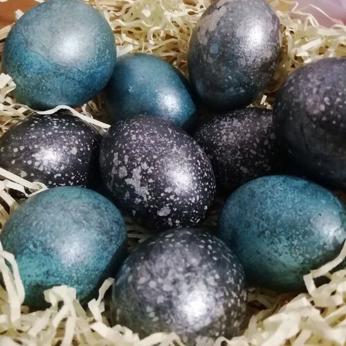 Photo #8076812