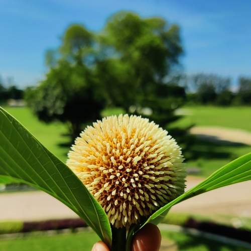 Photo #8077264