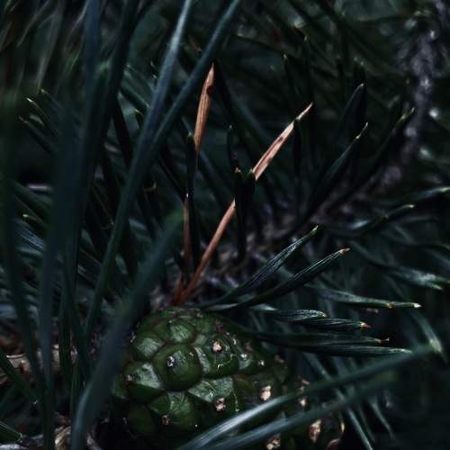 Photo #8077352