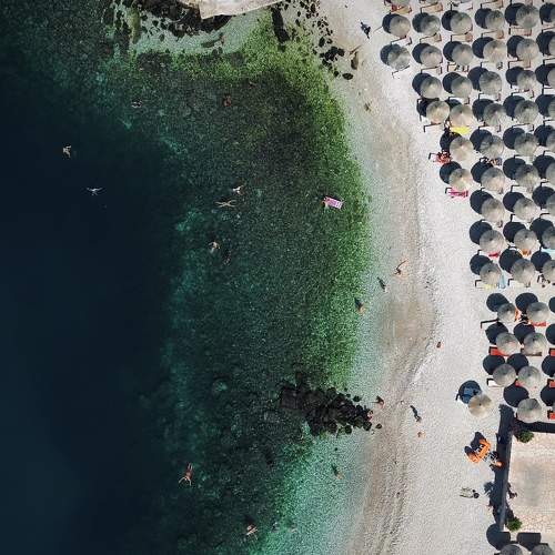 Photo #8077644