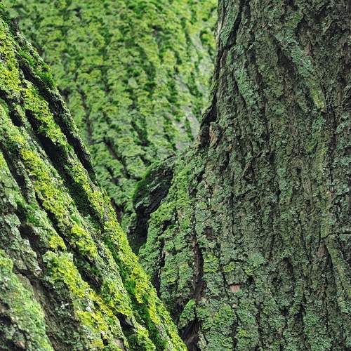 Photo #8077732
