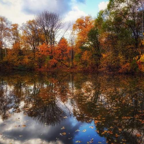 Photo #8077897