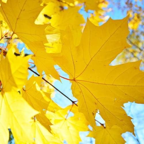Photo #8078352