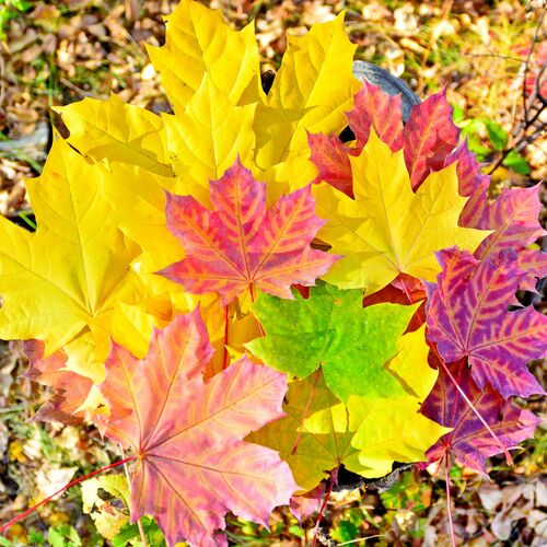 Photo #8078354