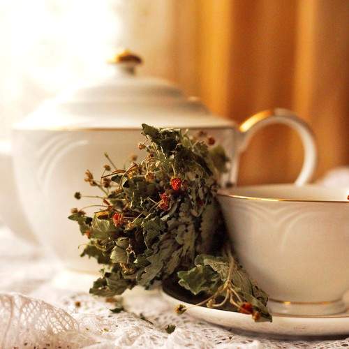 Photo #8078495