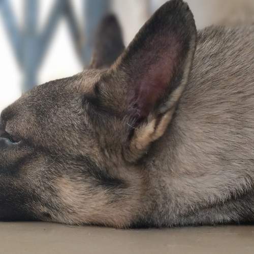 Photo #8078498
