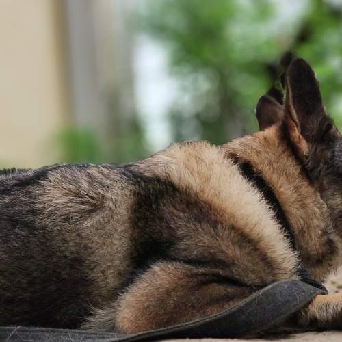 Photo #8078503