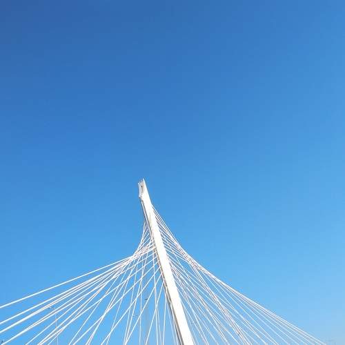 Photo #8078512