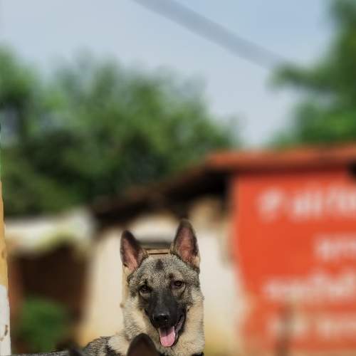 Photo #8078515