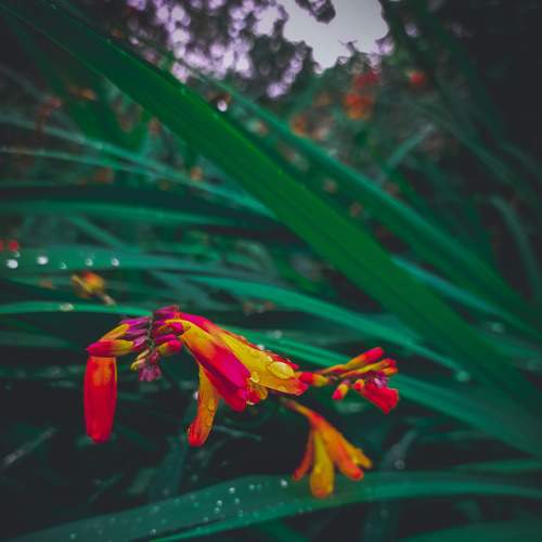 Photo #8078519