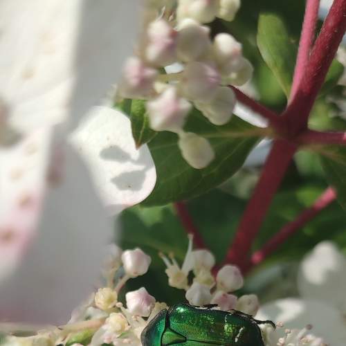 Photo #8078723