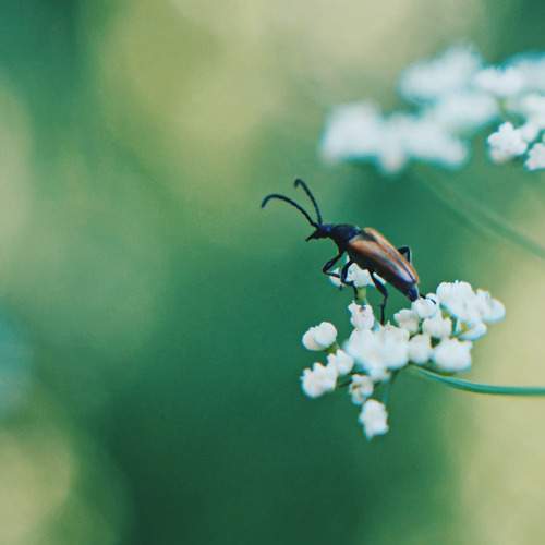 Photo #8079077