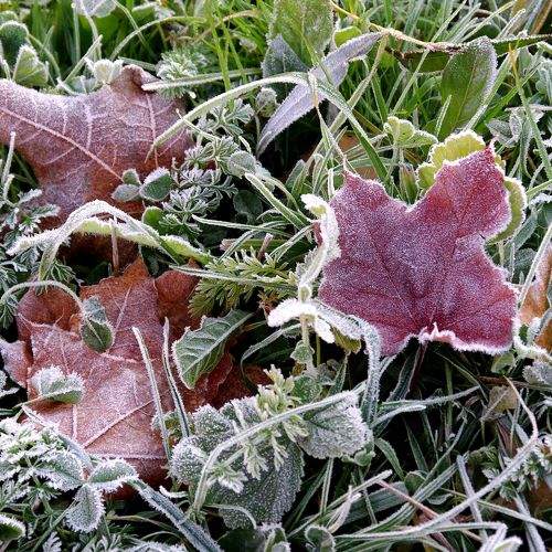 Photo #8079643