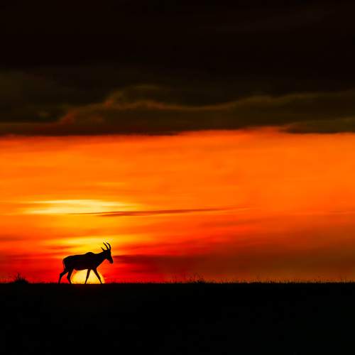 Walking over the Sun