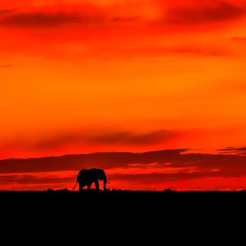 Burning sky