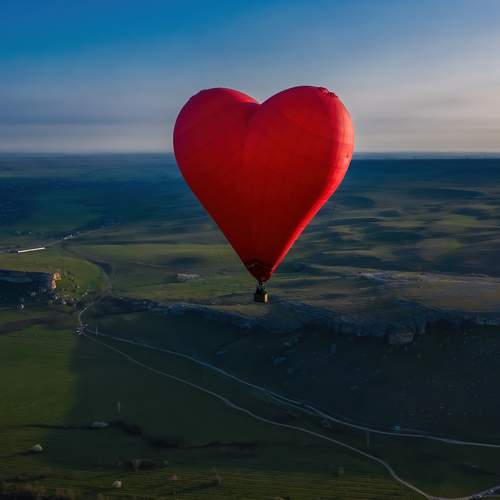 Photo #8080545