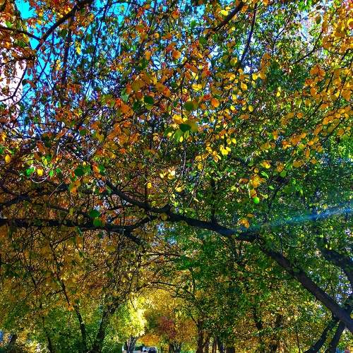 Photo #8080645