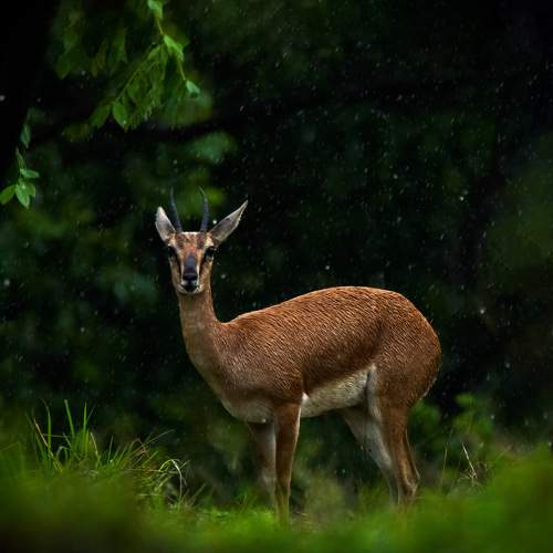 Photo #8081737