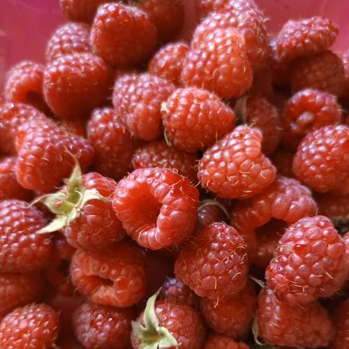 Photo #8081873