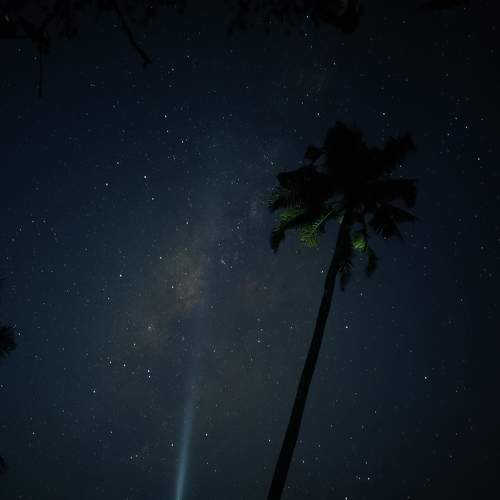 Night creative ★
