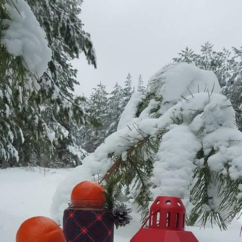 Photo #8082300