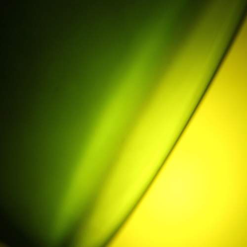 Photo #8082571