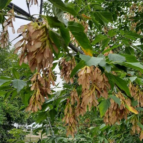 Photo #8082596