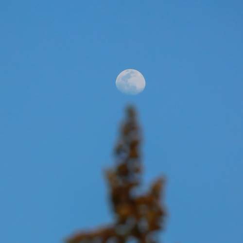 Photo #8082852