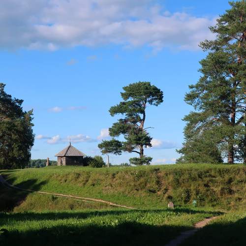 Photo #8082888