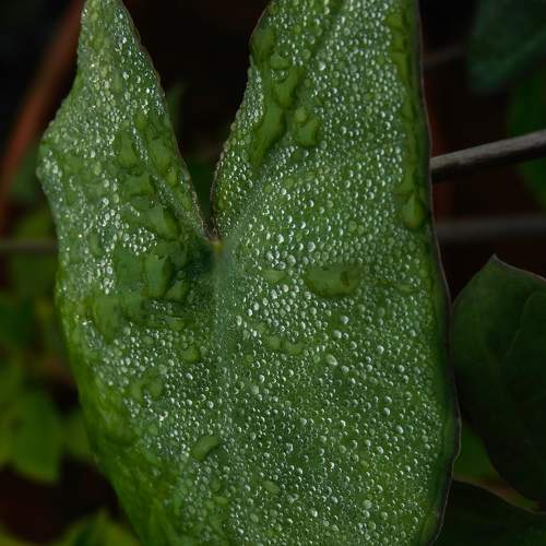 Photo #8082947