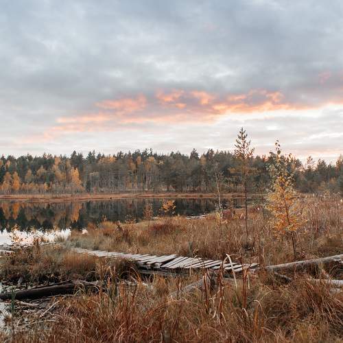 Photo #8084285