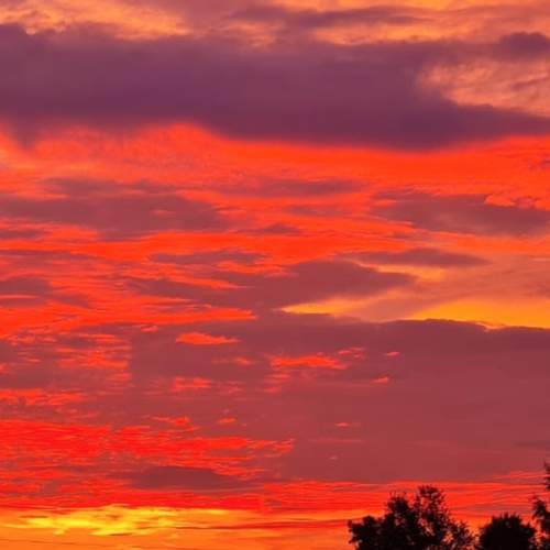 Photo #8084542