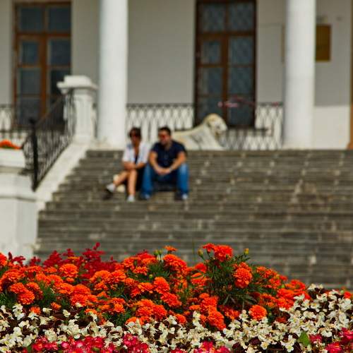 Photo #8084923
