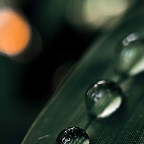Photo #8085090